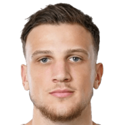 M. Ristovski